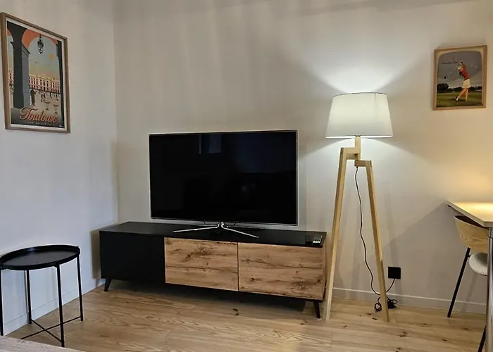 Apartamento De Charme Sur Golf Buzet-sur-Tarn